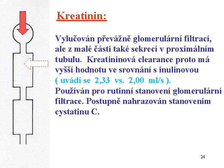 Kreatinin: Vylučován převážně glomerulární filtrací, ale z malé části také sekrecí v proximálním tubulu.