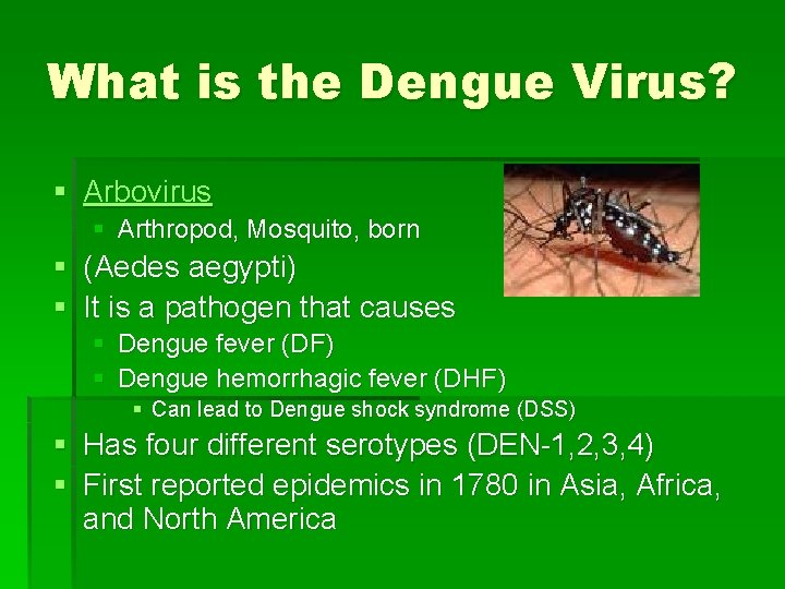 What is the Dengue Virus? § Arbovirus § Arthropod, Mosquito, born § (Aedes aegypti)