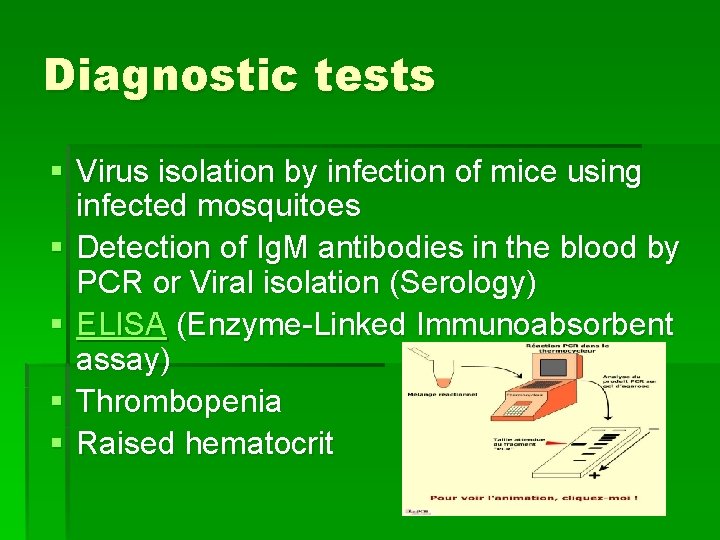 Diagnostic tests § Virus isolation by infection of mice using infected mosquitoes § Detection