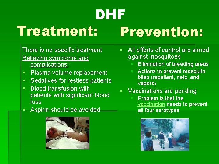 DHF Treatment: Prevention: There is no specific treatment Relieving symptoms and complications: § Plasma