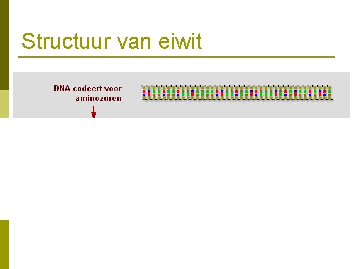 Structuur van eiwit 