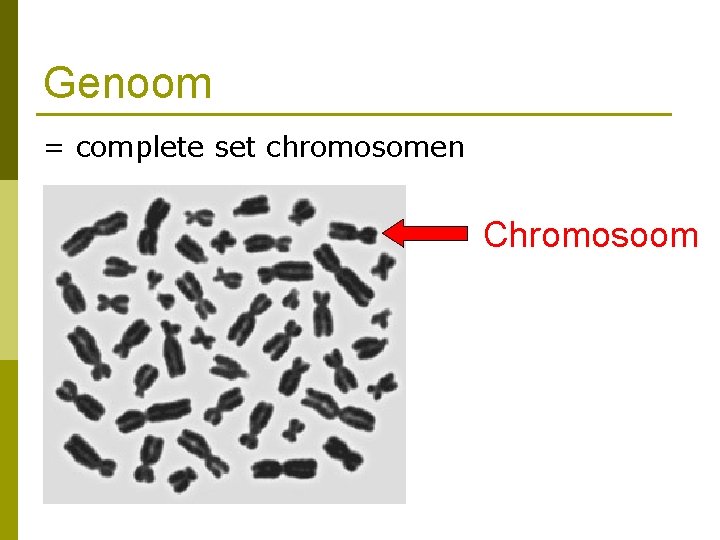 Genoom = complete set chromosomen Chromosoom 