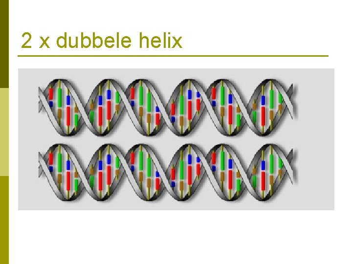 2 x dubbele helix 