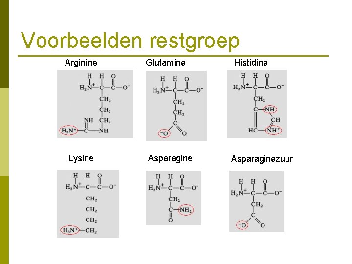 Voorbeelden restgroep Arginine Lysine Glutamine Asparagine Histidine Asparaginezuur 