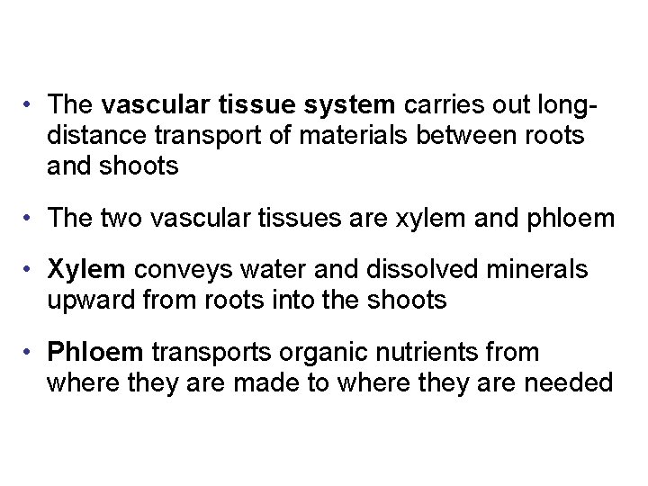  • The vascular tissue system carries out longdistance transport of materials between roots