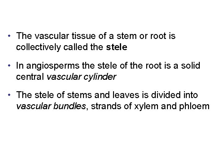  • The vascular tissue of a stem or root is collectively called the