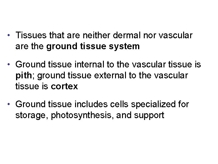  • Tissues that are neither dermal nor vascular are the ground tissue system