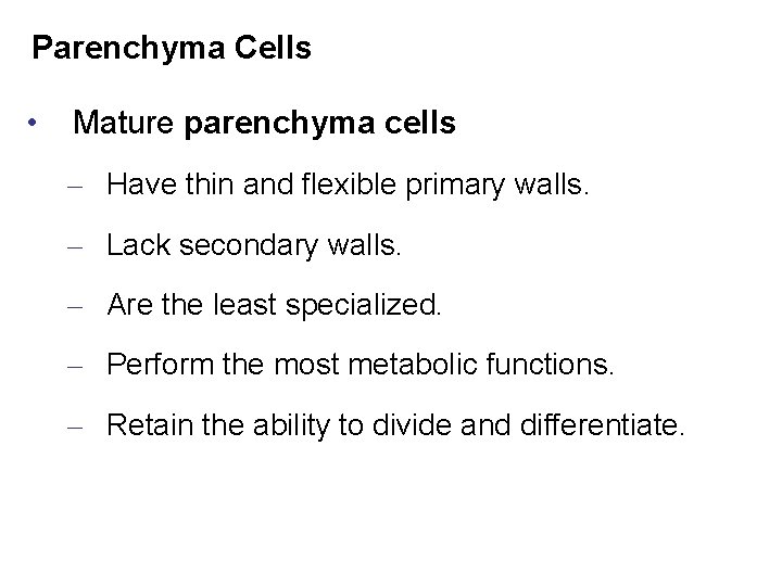 Parenchyma Cells • Mature parenchyma cells – Have thin and flexible primary walls. –