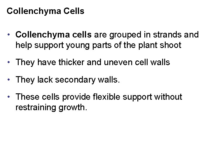 Collenchyma Cells • Collenchyma cells are grouped in strands and help support young parts