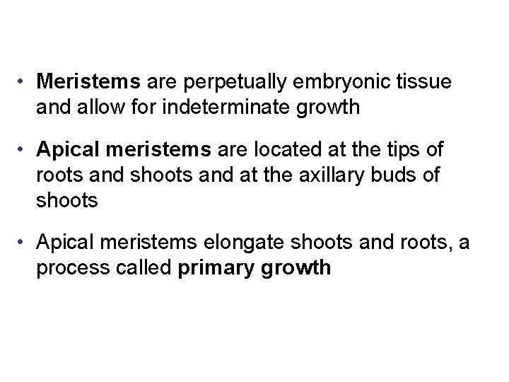  • Meristems are perpetually embryonic tissue and allow for indeterminate growth • Apical