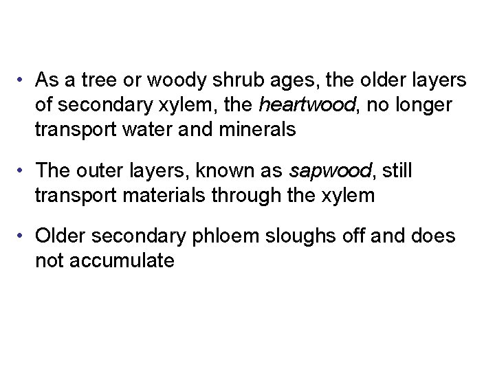  • As a tree or woody shrub ages, the older layers of secondary