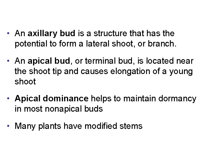  • An axillary bud is a structure that has the potential to form