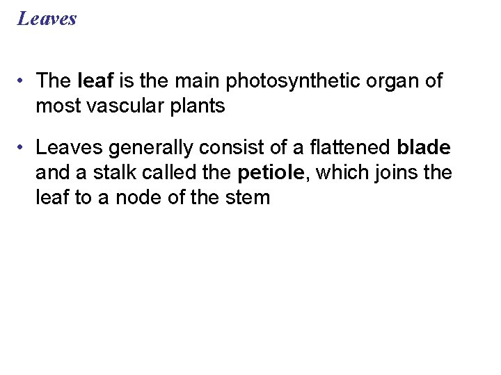Leaves • The leaf is the main photosynthetic organ of most vascular plants •