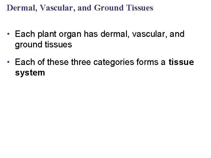 Dermal, Vascular, and Ground Tissues • Each plant organ has dermal, vascular, and ground