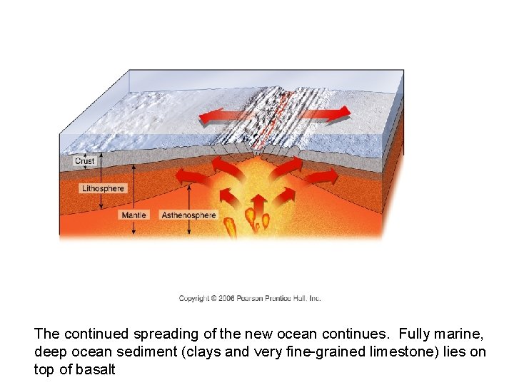 The continued spreading of the new ocean continues. Fully marine, deep ocean sediment (clays