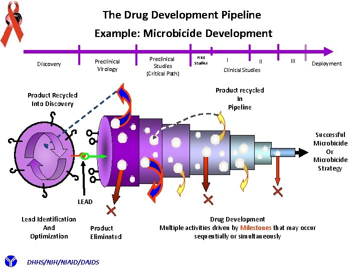 The Drug Development Pipeline Example: Microbicide Development Preclinical Virology Discovery Preclinical Studies (Critical Path)