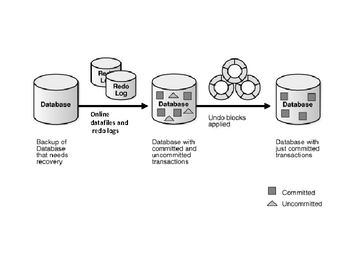 Online datafiles and redo logs 