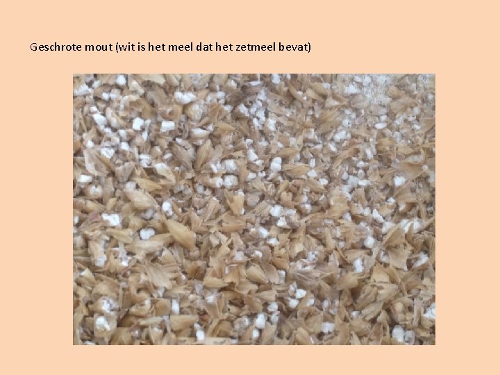Geschrote mout (wit is het meel dat het zetmeel bevat) 