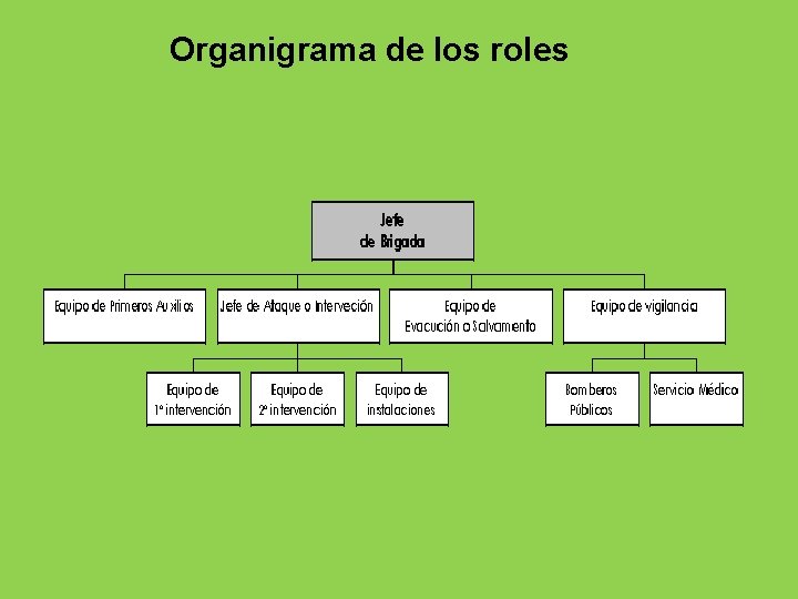 Organigrama de los roles 