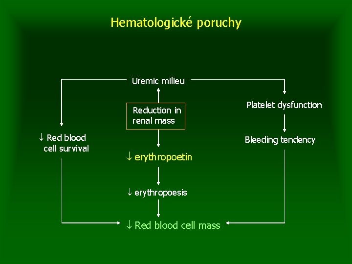 Hematologické poruchy Uremic milieu Reduction in renal mass Red blood cell survival Platelet dysfunction