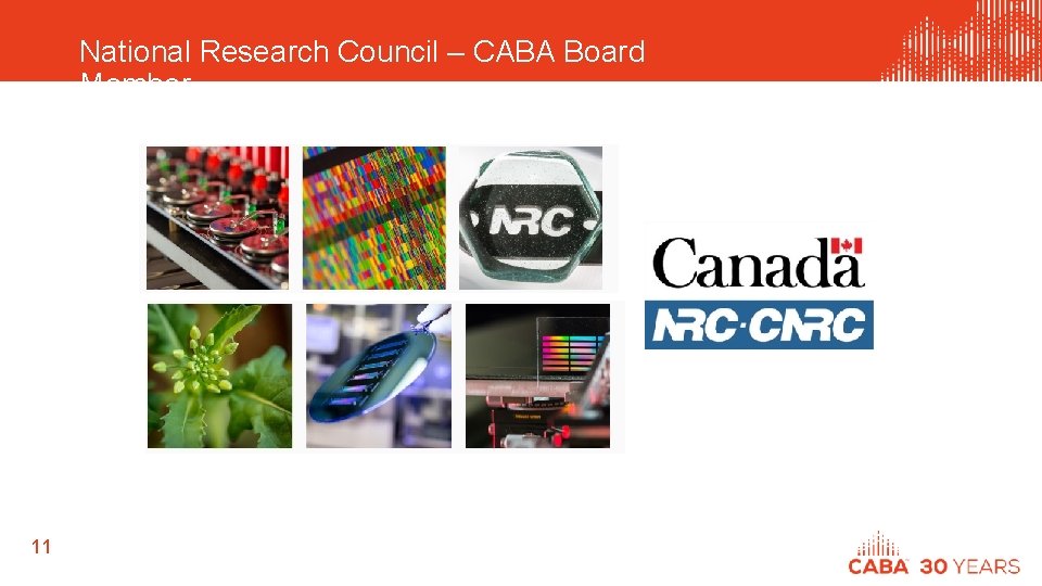 National Research Council – CABA Board Member 11 