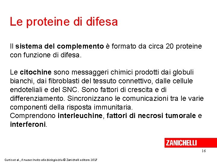 Le proteine di difesa Il sistema del complemento è formato da circa 20 proteine