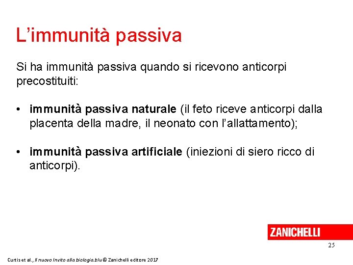 L’immunità passiva Si ha immunità passiva quando si ricevono anticorpi precostituiti: • immunità passiva