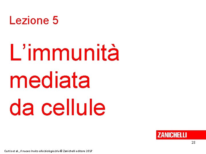 Lezione 5 L’immunità mediata da cellule 28 Curtis et al. , Il nuovo Invito