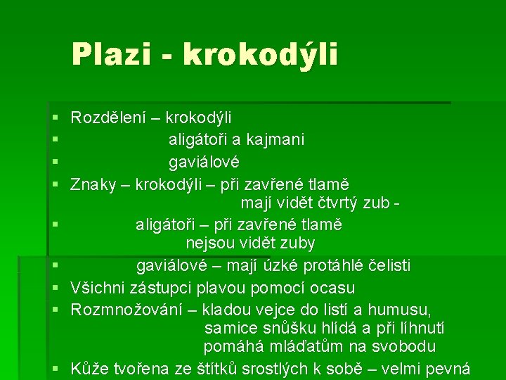 Plazi - krokodýli § Rozdělení – krokodýli § aligátoři a kajmani § gaviálové §