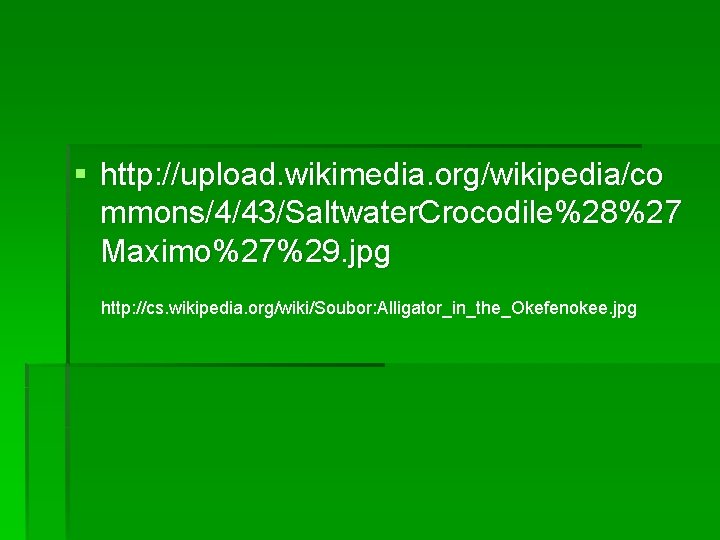 § http: //upload. wikimedia. org/wikipedia/co mmons/4/43/Saltwater. Crocodile%28%27 Maximo%27%29. jpg http: //cs. wikipedia. org/wiki/Soubor: Alligator_in_the_Okefenokee.