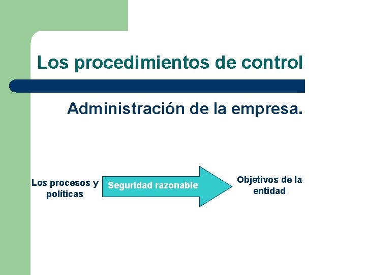 Los procedimientos de control Administración de la empresa. Los procesos y políticas Seguridad razonable