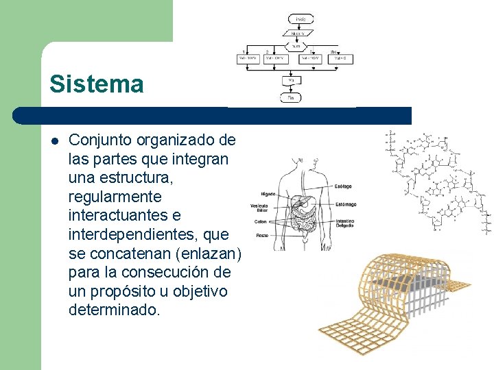 Sistema l Conjunto organizado de las partes que integran una estructura, regularmente interactuantes e