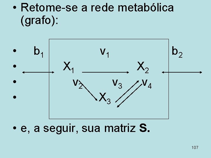  • Retome-se a rede metabólica (grafo): • • b 1 v 1 X