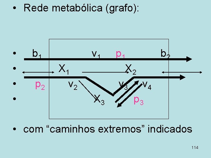  • Rede metabólica (grafo): • • b 1 p 2 v 1 X