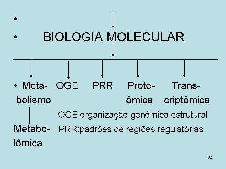  • • BIOLOGIA MOLECULAR • Meta- OGE bolismo PRR Prote. Transômica criptômica OGE: