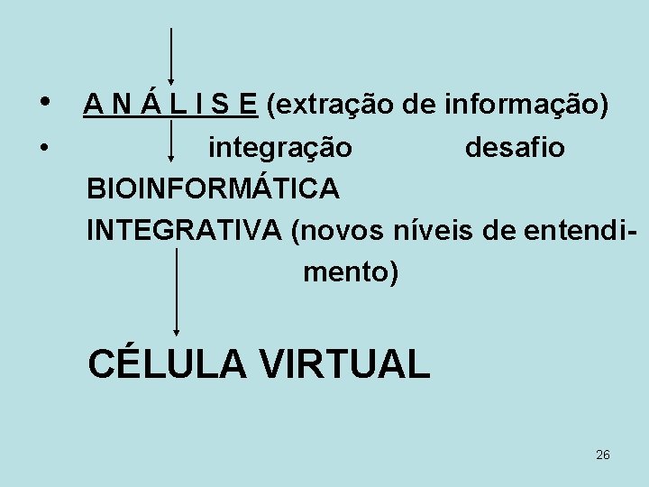  • • A N Á L I S E (extração de informação) integração