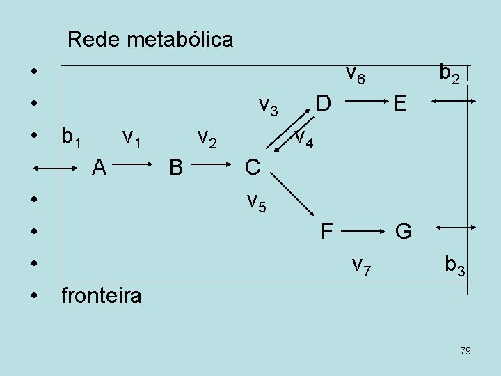 Rede metabólica • • • v 6 v 3 b 1 v 1 A