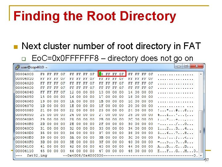 Finding the Root Directory n Next cluster number of root directory in FAT q