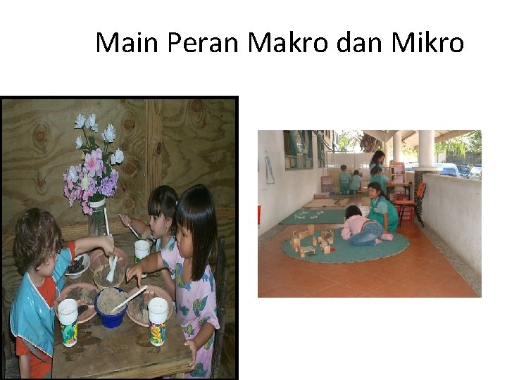 Main Peran Makro dan Mikro 