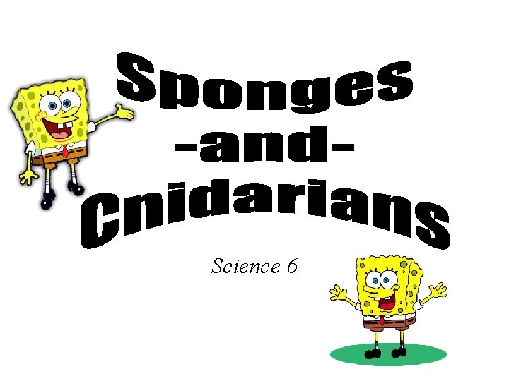 Science 6 