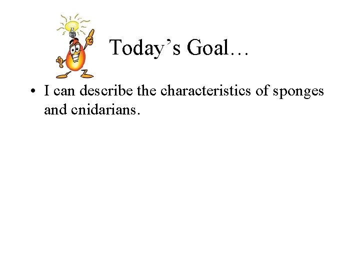 Today’s Goal… • I can describe the characteristics of sponges and cnidarians. 