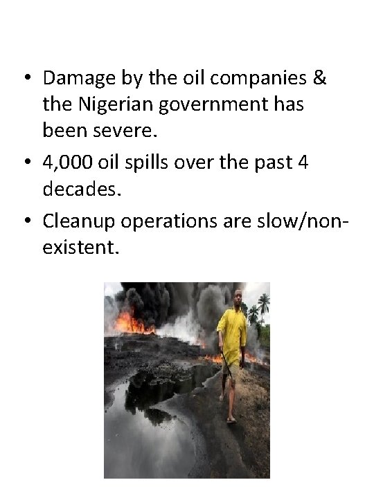  • Damage by the oil companies & the Nigerian government has been severe.