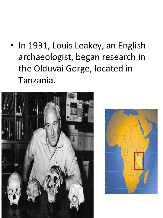  • In 1931, Louis Leakey, an English archaeologist, began research in the Olduvai