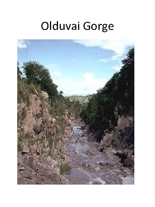 Olduvai Gorge 