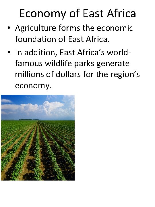 Economy of East Africa • Agriculture forms the economic foundation of East Africa. •