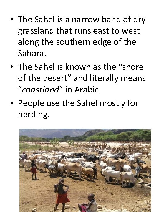 • The Sahel is a narrow band of dry grassland that runs east