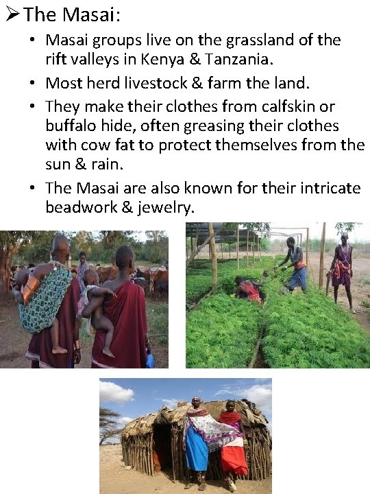 Ø The Masai: • Masai groups live on the grassland of the rift valleys
