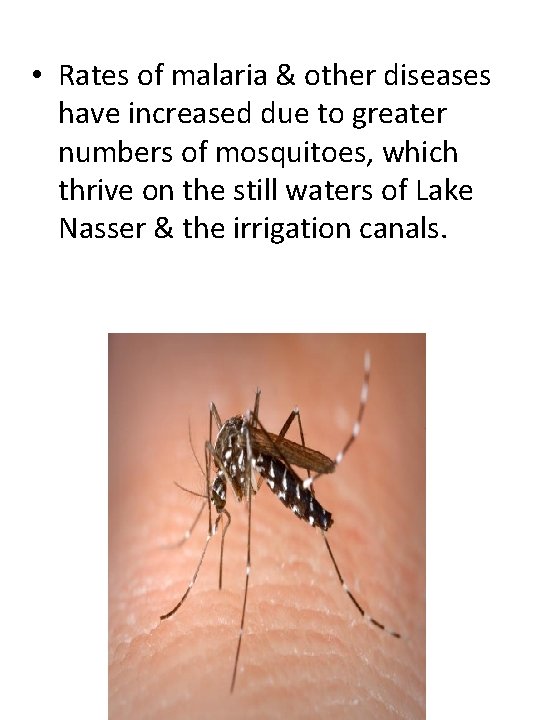  • Rates of malaria & other diseases have increased due to greater numbers