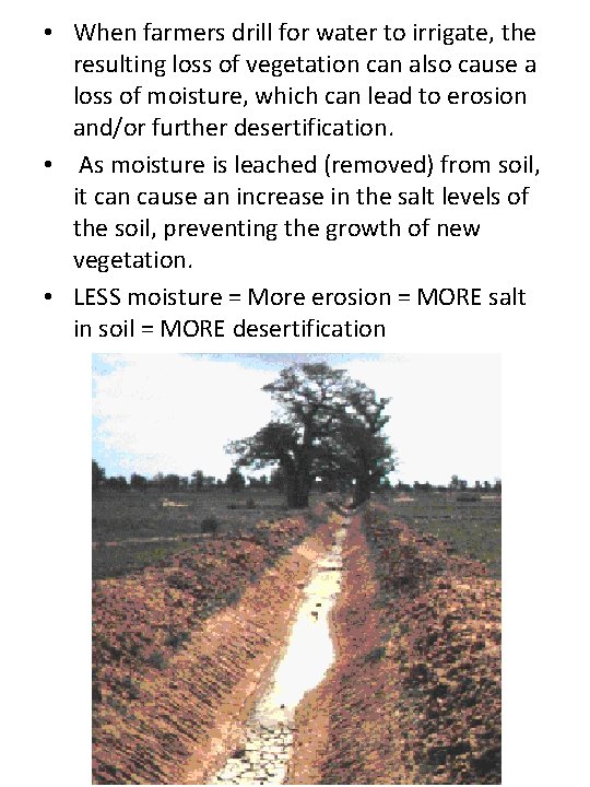  • When farmers drill for water to irrigate, the resulting loss of vegetation