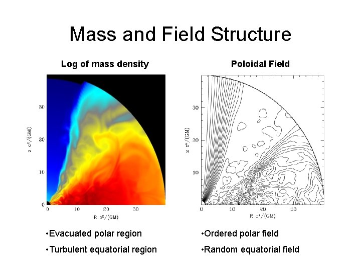 Mass and Field Structure Log of mass density Poloidal Field • Evacuated polar region